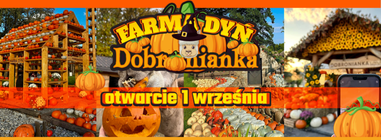 Największa w Polsce FARMA DYŃ