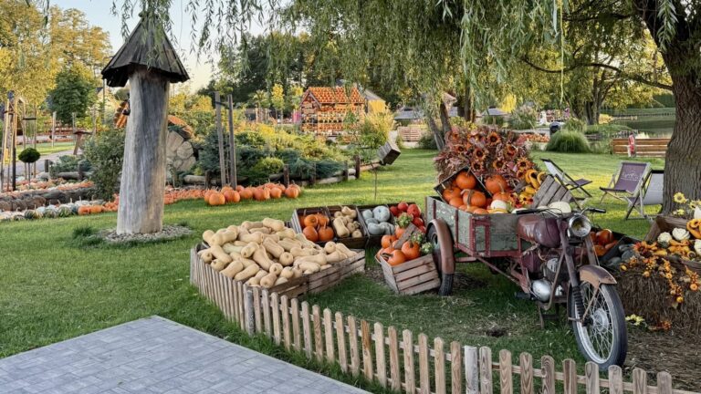Farma Dyń Dobronianka 2026