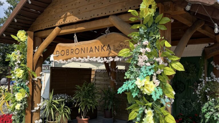 Dobronianka świętuje 6 urodziny! Dziękujemy, że jesteście z nami.