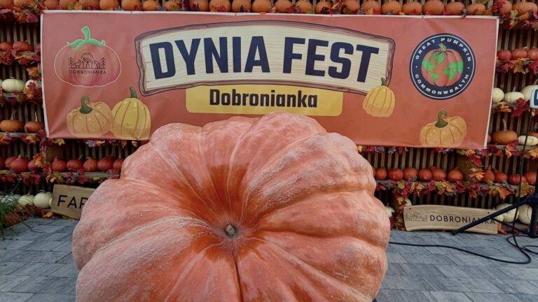 DYNIA FEST 2026 w DOBRONIANCE – znamy najcięższą dynię!